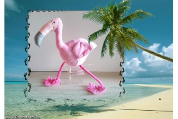 Flamingo im Meer